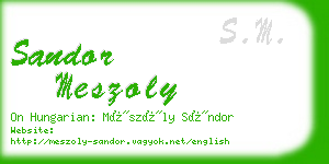 sandor meszoly business card